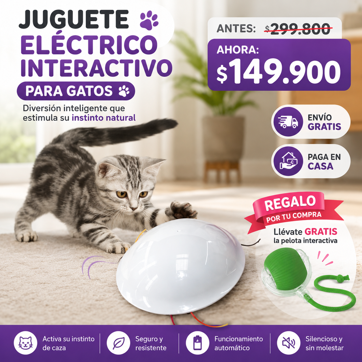 JUGUETE PLATILLO  INTERACTIVO MASCOTAS