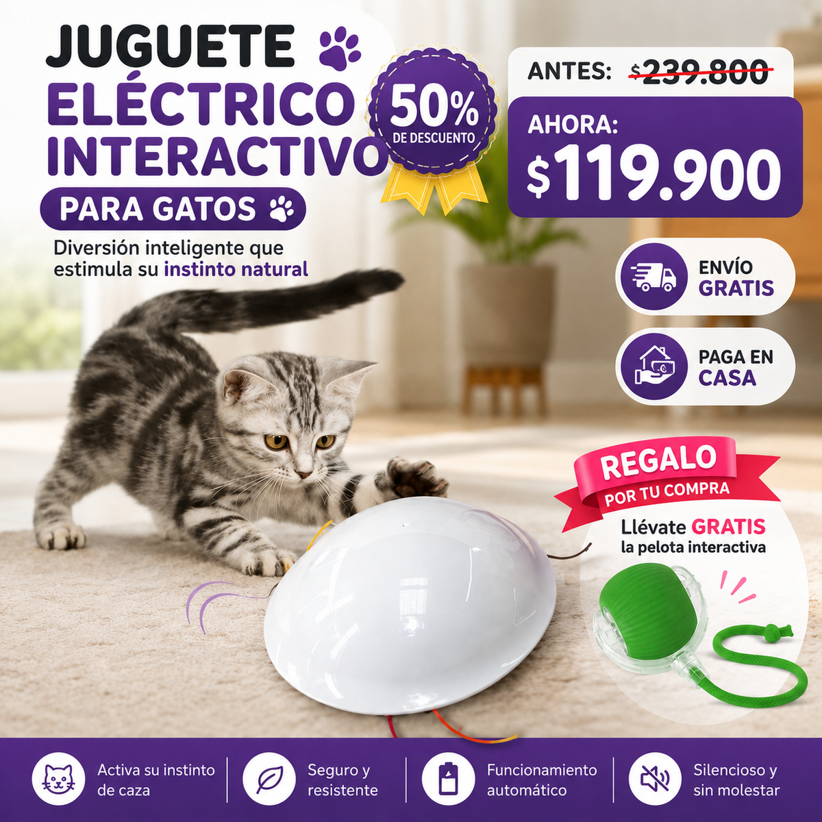 JUGUETE PLATILLO  INTERACTIVO MASCOTAS