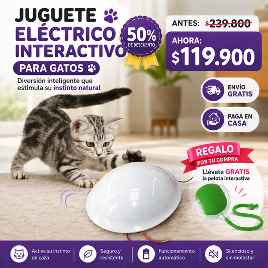 JUGUETE PLATILLO  INTERACTIVO MASCOTAS