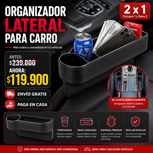 ORGANIZADOR DE CARRO X 2